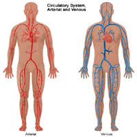 VASCULAR WORK - in Kolkata – Dr Binod Kumar Singhania